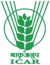 ICAR Logo
